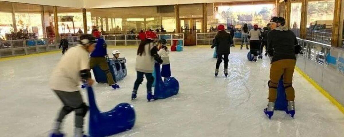 Diversas pessoas brincando em pista de gelo. 