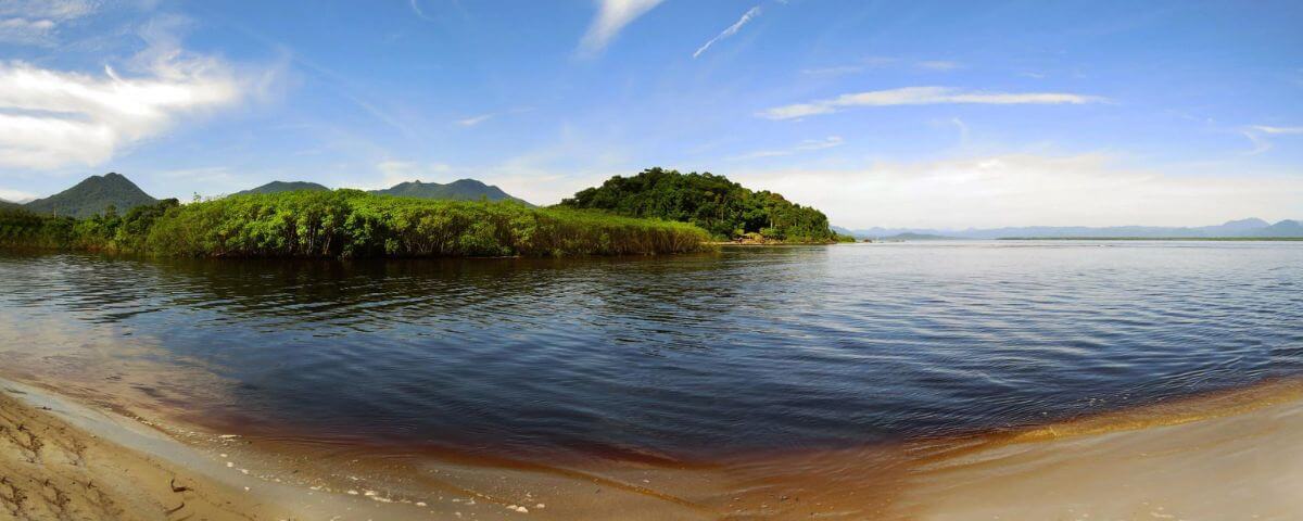 Lago com floresta ao fundo no Parque Estadual Ilha do Cardoso. 