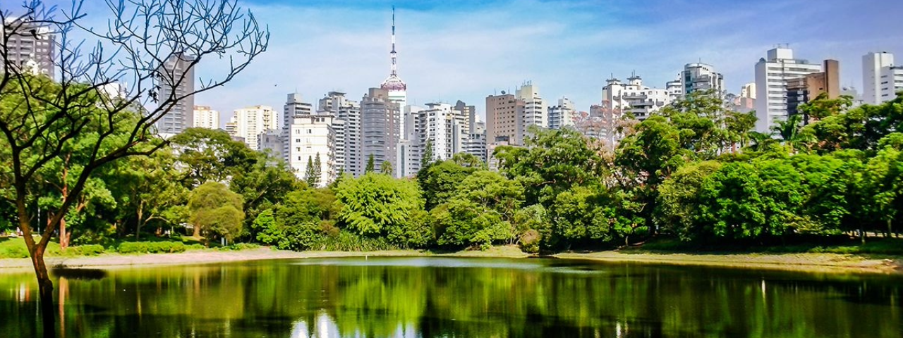 A imagem mostra o lago do Parque da Aclimação com a cidade de São Paulo ao fundo