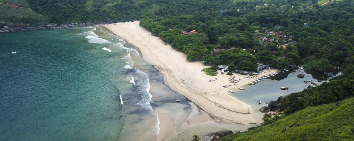 A imagem mostra uma praia com vegetação nativa no fundo