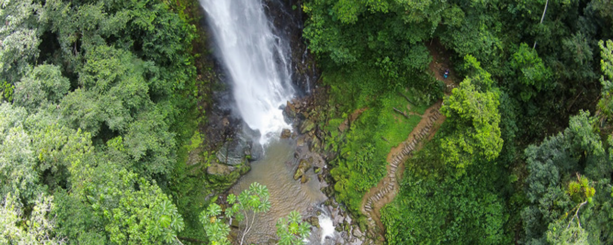 A imagem aérea mostra uma cachoeira e sua vegetação