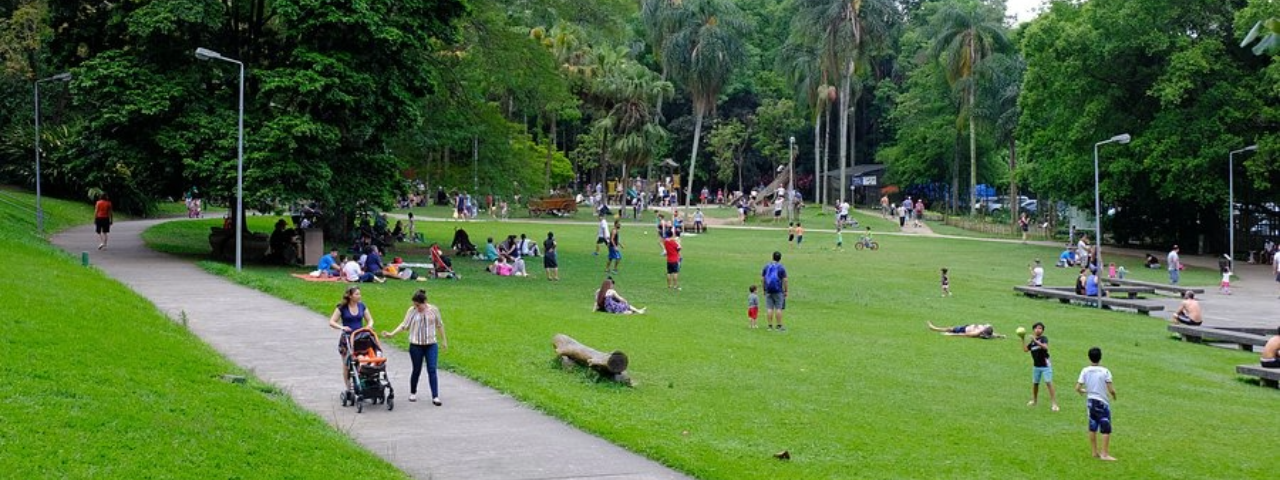 Gramado do Parque Burle Marx com diversas famílias passeando pelo parque com bastante vegetação ao redor.