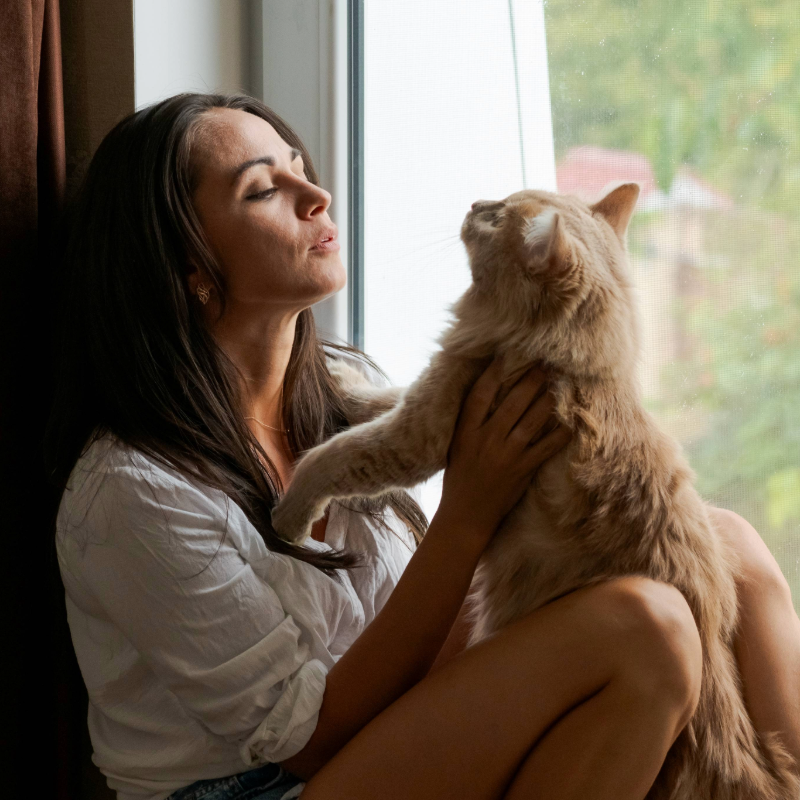 A imagem mostra uma mulher segurando o gato em momento de carinho com seu pet