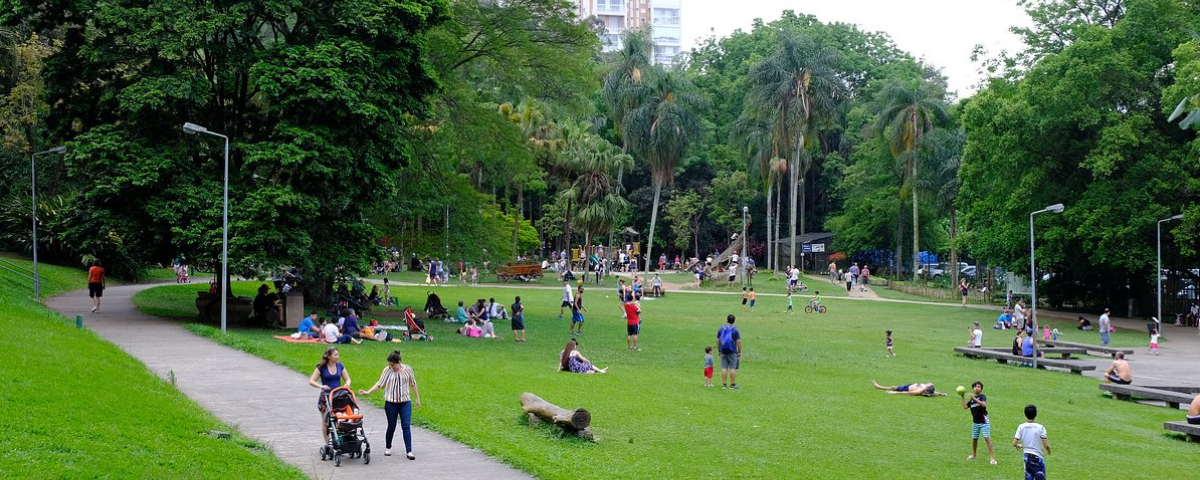 Vista de uma área do Parque Burle Marx, com seu paisagismo exuberante, um dos parques em SP ideais para contemplar a natureza e a arte