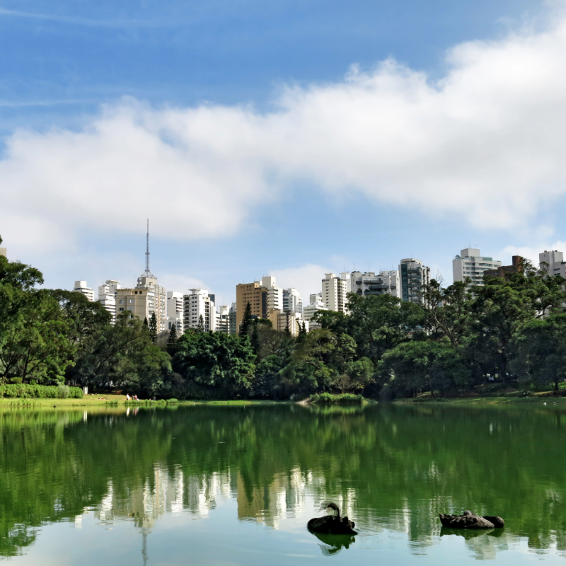 Vista do lago e da extensa área verde do Parque da Aclimação, um refúgio para contemplar a natureza em meio aos prédios de São Paulo