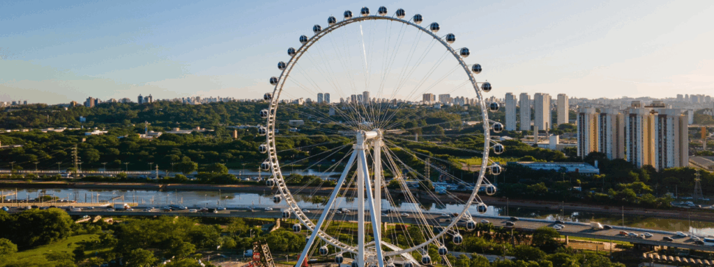 Roda Rico com vista para o Parque Villa Lobos e parte da Cidade Universitária, um passeio especial para comemorar o Dia dos Pais