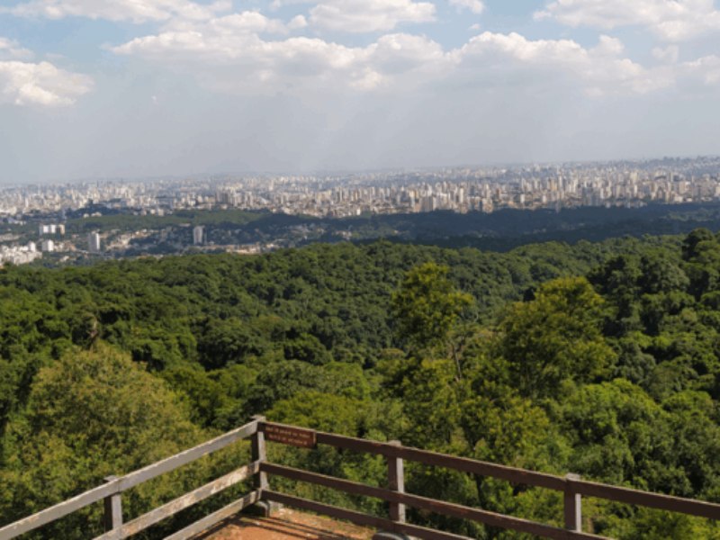 imagem mostra a cidade de São Paulo vista da trilha da Pedra Grande