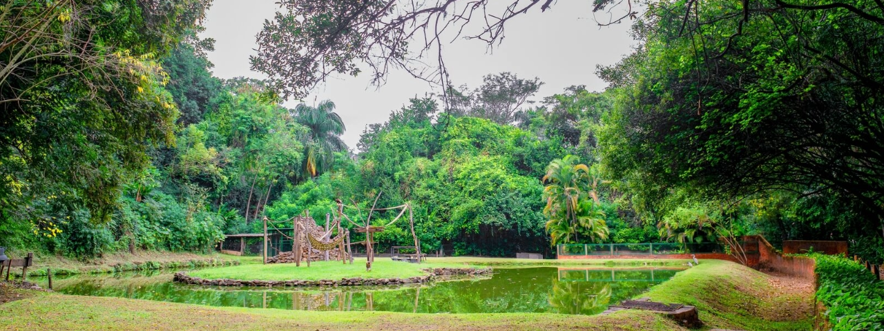 Parque em Pedreira, rodeado por vegetação, ideal para passeios e momentos tranquilos com a natureza