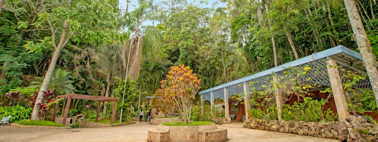 Área cercada por vegetações em Serra Negra, ideal para contato com a natureza e atividades ao ar livre