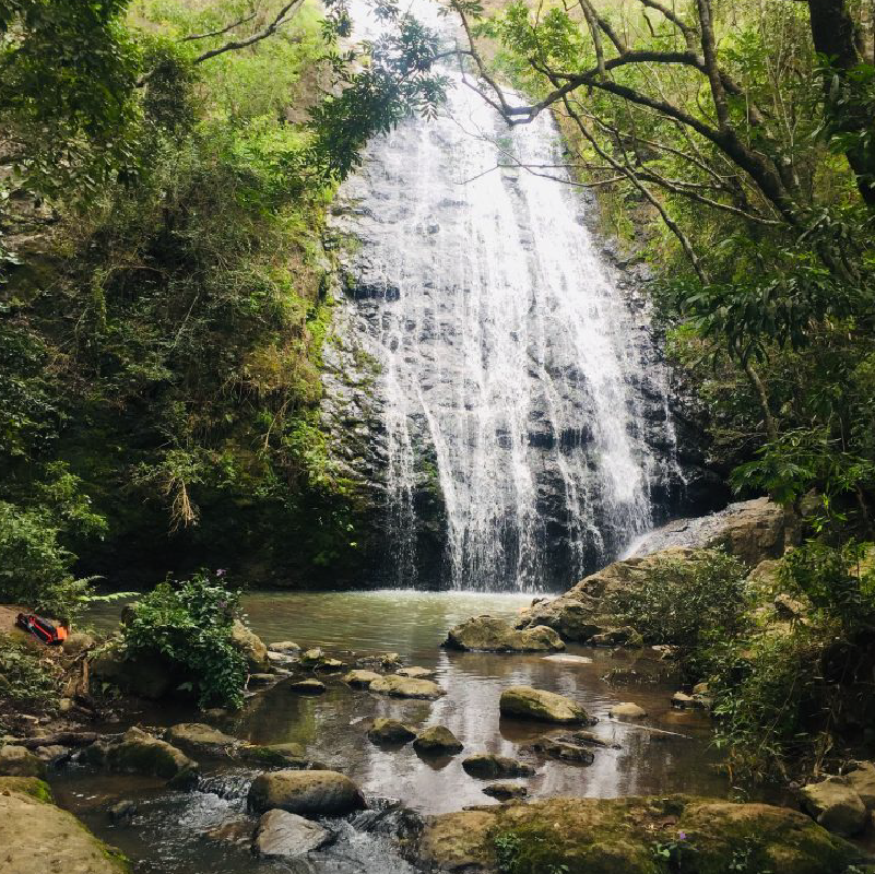 Cachoeira em meio à natureza, cercada por vegetação abundante e rochas