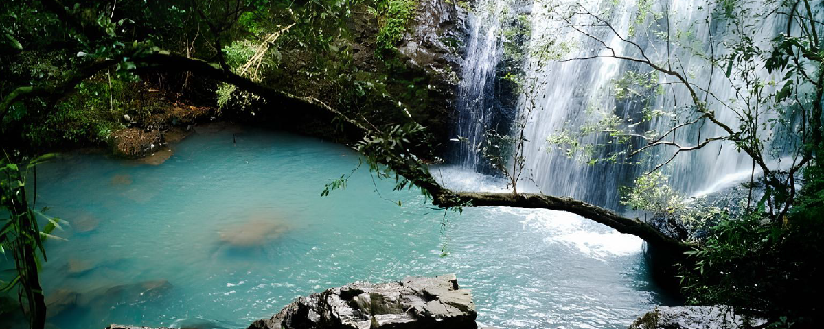 Queda de água de uma cachoeira desaguando em uma lagoa tranquila, cercada por vegetação