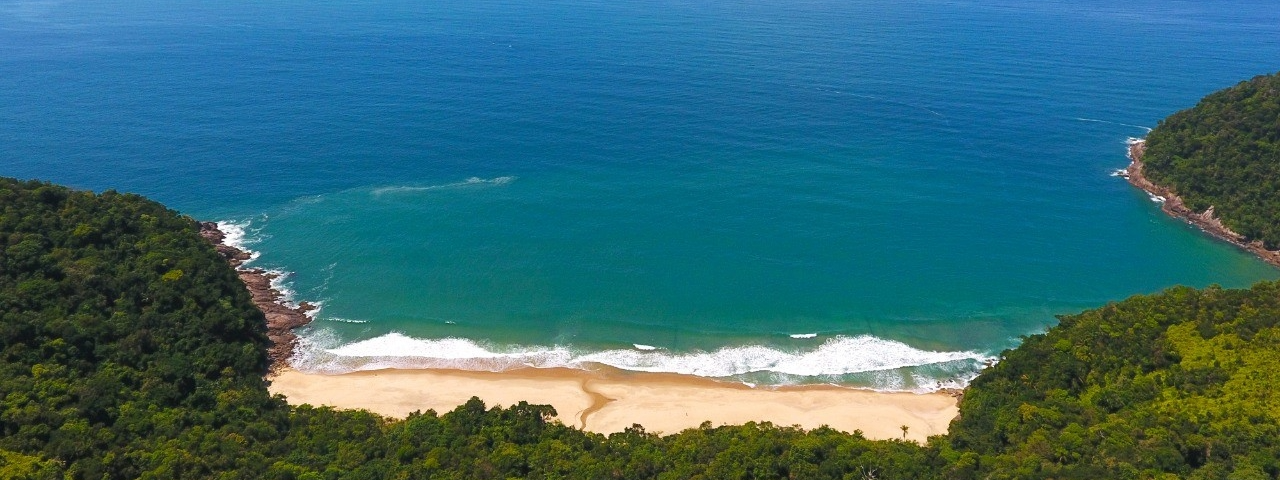 Vista aérea da Praia Brava de Boiçucanga, cercada por vegetação e com ondas ideais para surfistas