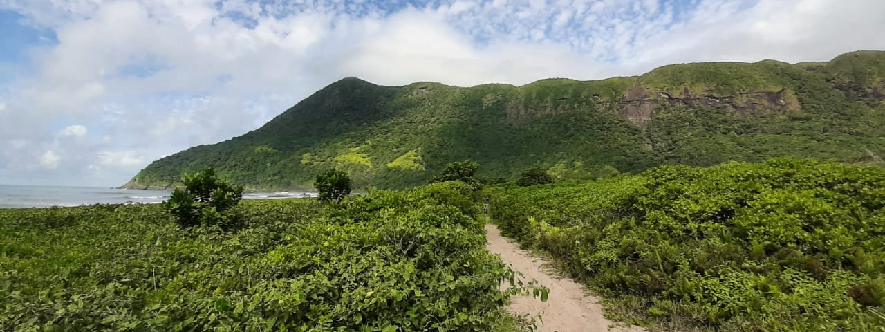 Vista aérea da Praia Brava de Boiçucanga, cercada por vegetação e com ondas ideais para surfistas. (Fonte: Guia de Áreas Protegidas / Divulgação)