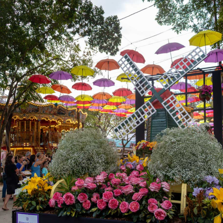 A primavera chegou: descubra os destinos mais floridos de São Paulo